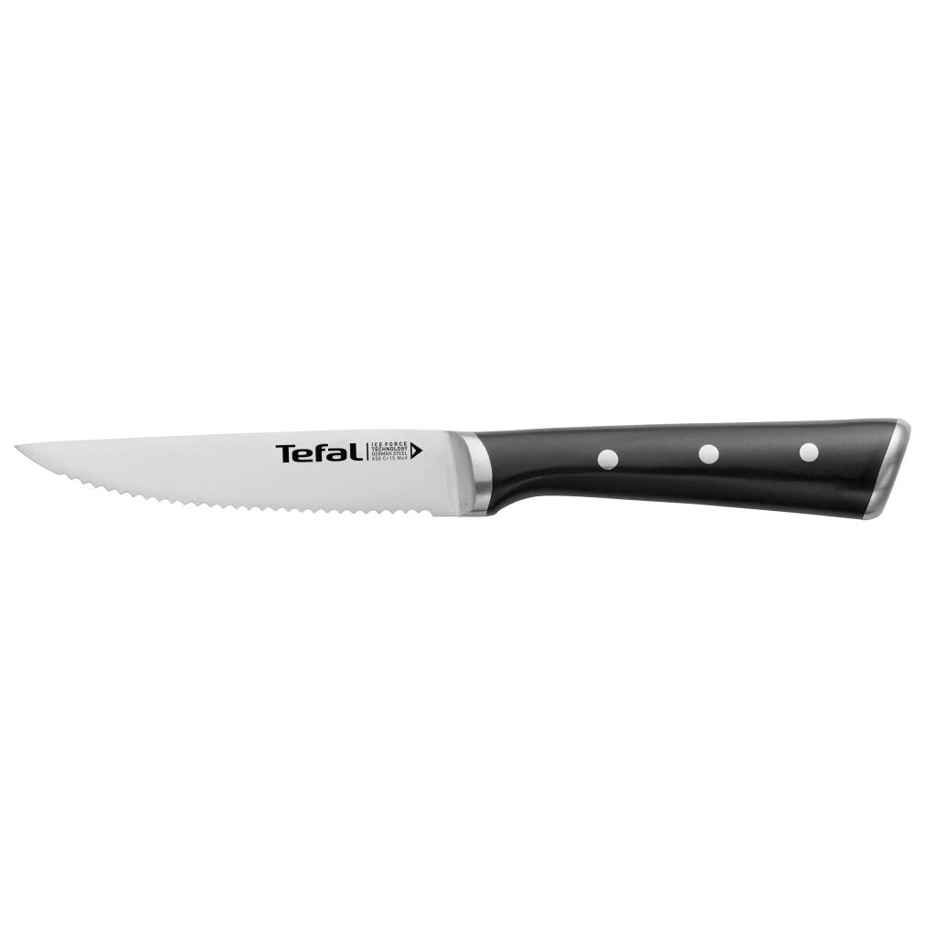 Tefal K232S4 Ice Force Steakmessen 4 Stuks 2 Tefal K232S4 Ice Force Steakmessen 4 Stuks - Afbeelding 2