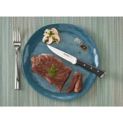 Tefal K232S4 Ice Force Steakmessen 4 Stuks 5 Tefal K232S4 Ice Force Steakmessen 4 Stuks -Tefal 3168430274501 5